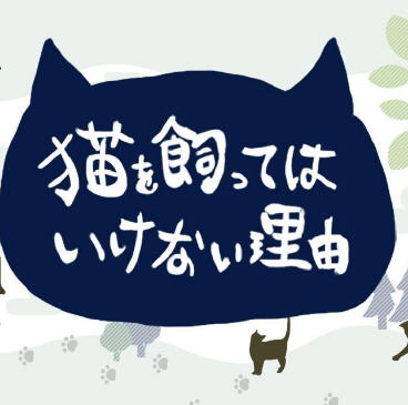 不能养猫的理由测试版