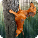 Wild Wiener!(野蛮腊肠犬手游安卓版)