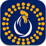 莱特鸡app
