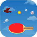 PingPong Bounce(弹跳乒乓安卓版)