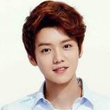 鹿晗秘密猜游戏安卓版