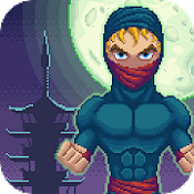 The Best Ninja(最佳忍者安卓版)