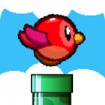 Flappy Feathers(快乐鸟展翅安卓版)