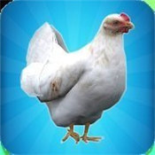 我的鸡模拟器正版(ChickSimulator)