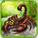 愤怒的蝎子游戏