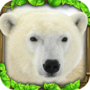 终极北极熊模拟器满级版ArcticSim