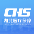 湖北医保服务平台（湖北智慧医保）