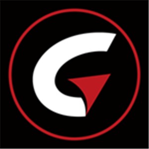 PAPAGO记录仪(PAPAGODVR)