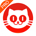 猫眼票房分析app