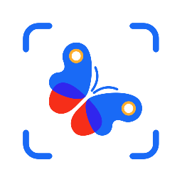 PictureInsect昆虫识别