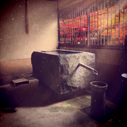 脱出花鸟风月中文版