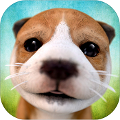 DogSimulator(狗子你变了手游安卓版)