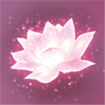 Lotus(莲花手游安卓版)