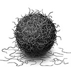 毛塊手游安卓版