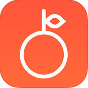 柚子练琴安卓版