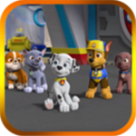 汪汪队暑假攻略安卓版