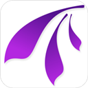 曼历英语安卓版