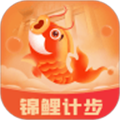 锦鲤计步