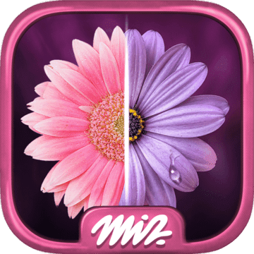 寻找区别花卉安卓版