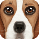 终极狗狗模拟器汉化版