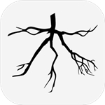 木(branch)中文版