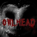 OWLHEADRebuild(OWLHead 复原中文版)