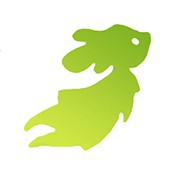 Still Here...从未离开