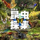 世界の昆虫採集 ライト版(世界的昆虫采取汉化安卓版)