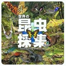世界の昆虫採集 ライト版(世界的昆虫采取)