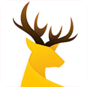 UC头条app安卓版