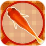 Goldfish Scooping(庙会捞金鱼安卓版)