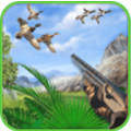 Duck Hunting 3D(猎鸭3D安卓版)