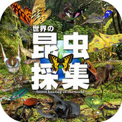 世界の昆虫採集 ライト版(世界的昆虫采集安卓版)