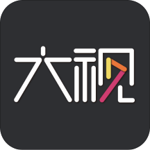 大视安卓版