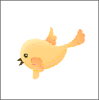 快鸟橙色版