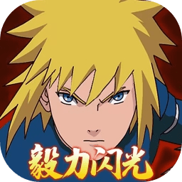 毅力火影（毅力闪光）