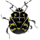 Beetle Brave(勇敢的甲虫安卓版)