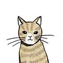 回梦之旅2汉化中文版