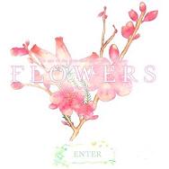 FLOWERS夏篇手机中文版