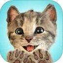 little(我最喜爱的猫猫安卓版)