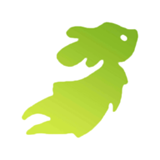 Still Here...我仍然在这里等你安卓版