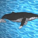 CrazyEscapeGame8(脱出游戏 博士的挑战书2汉化安卓版)