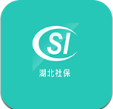 湖北省社保远程认证app