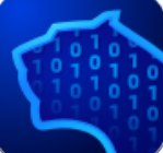 奇安信安全防护冬奥版