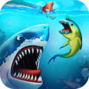 鲨鱼大乱斗