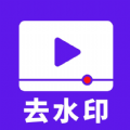 流年去水印app
