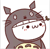 baoesp插件(龙猫ESP)