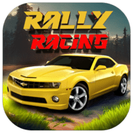 拉力赛车纳斯卡