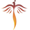 tsks凤凰天使韩剧社