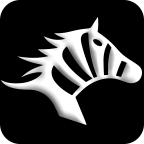 武汉斑马快跑司机端